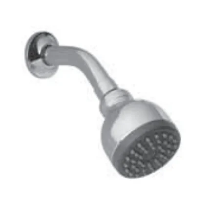 Kale Duş Başlığı (1 Fonksiyonlu)