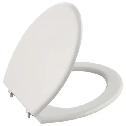 Kale Victorian Kapak