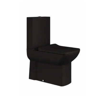 Creavit Lara Duvara Dayalı Klozet Siyah Mat LR360-00KK00E-0000